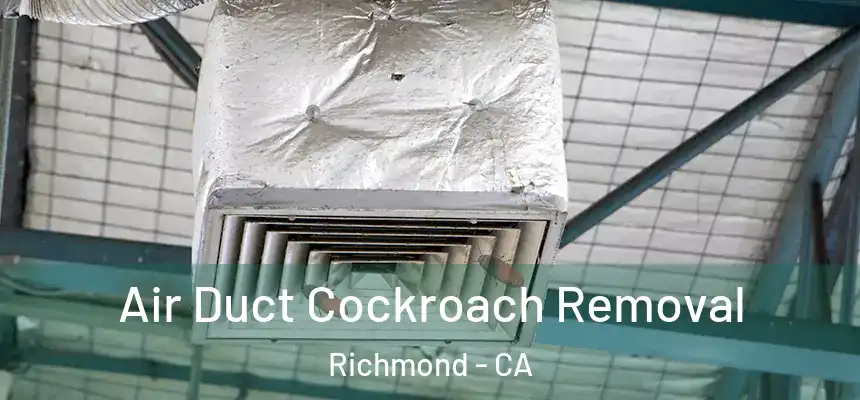 Air Duct Cockroach Removal Richmond - CA