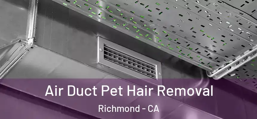  Air Duct Pet Hair Removal Richmond - CA