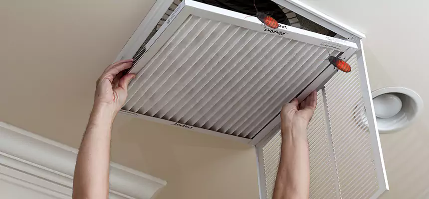 Our Insect Removal from Air Ducts Services in Richmond, CA