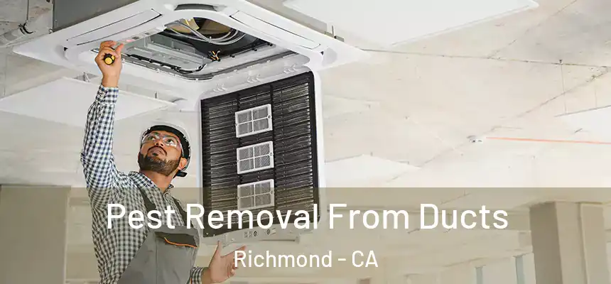 Pest Removal From Ducts Richmond - CA