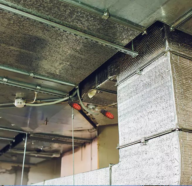 Why Homeowners & Businesses Trust Us in Richmond, CA?