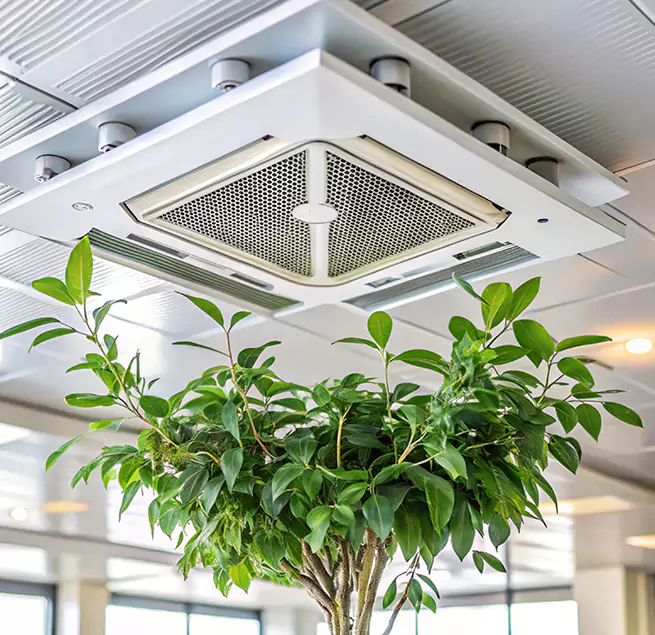 Why Homeowners & Businesses Trust Us in Richmond, CA?